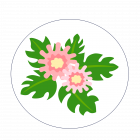 Feedback_Blume