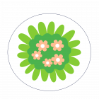 Feedback_Blume1